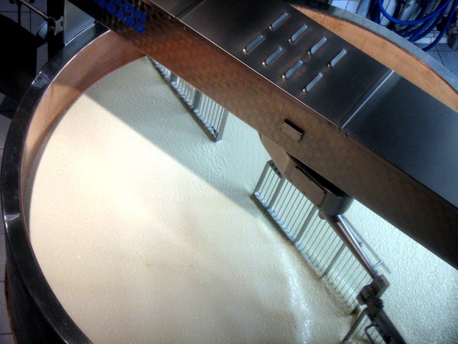 Home Cheesemaking: Bringing Swiss Traditions to Your Kitchen (image credits: wikimedia)