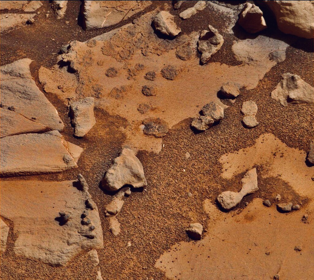 Hormones in an Alien World (image credits: flickr)