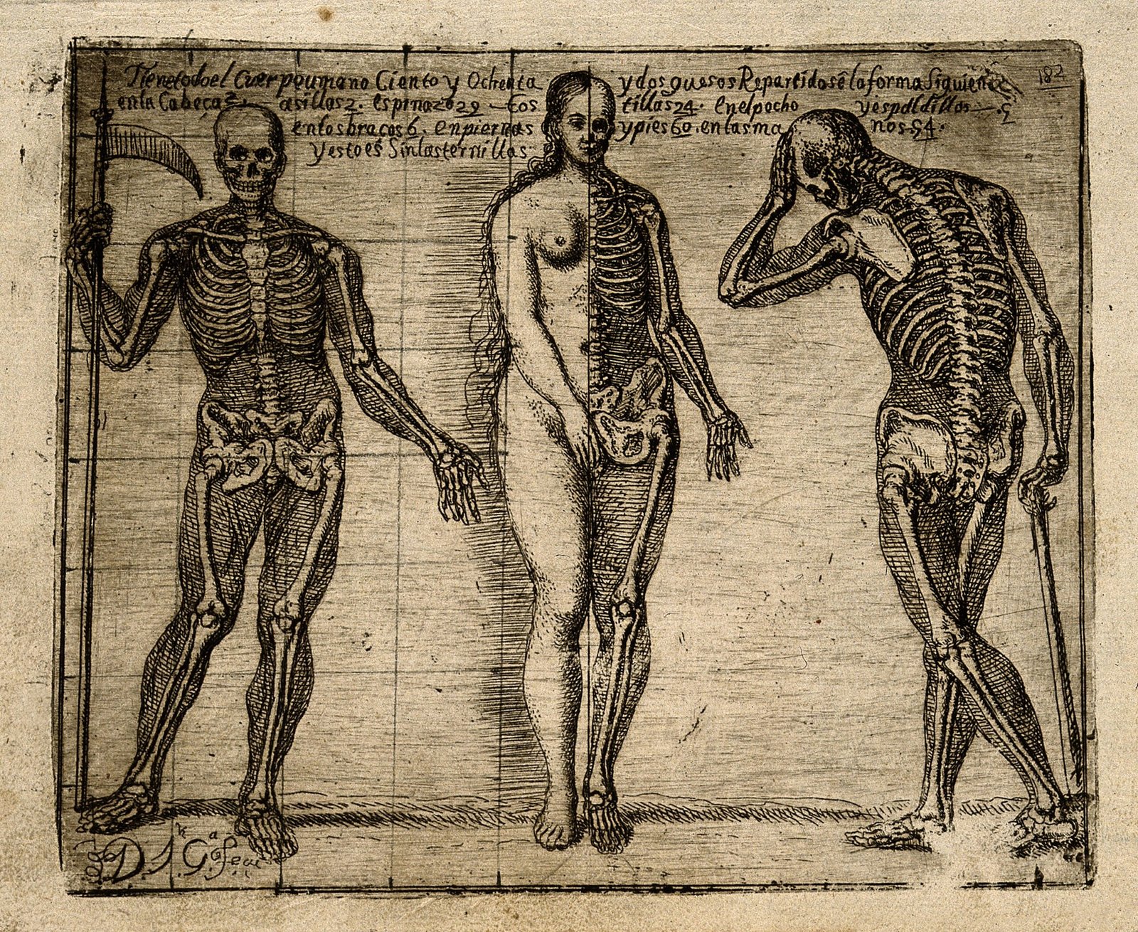 Women and the “Vampire” Accusations (image credits: wikimedia)
