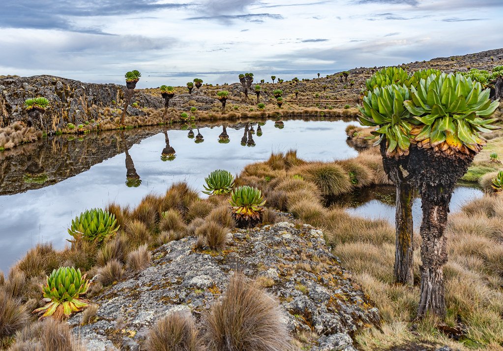 Cultural Significance: Legends and Local Lore (image credits: flickr)