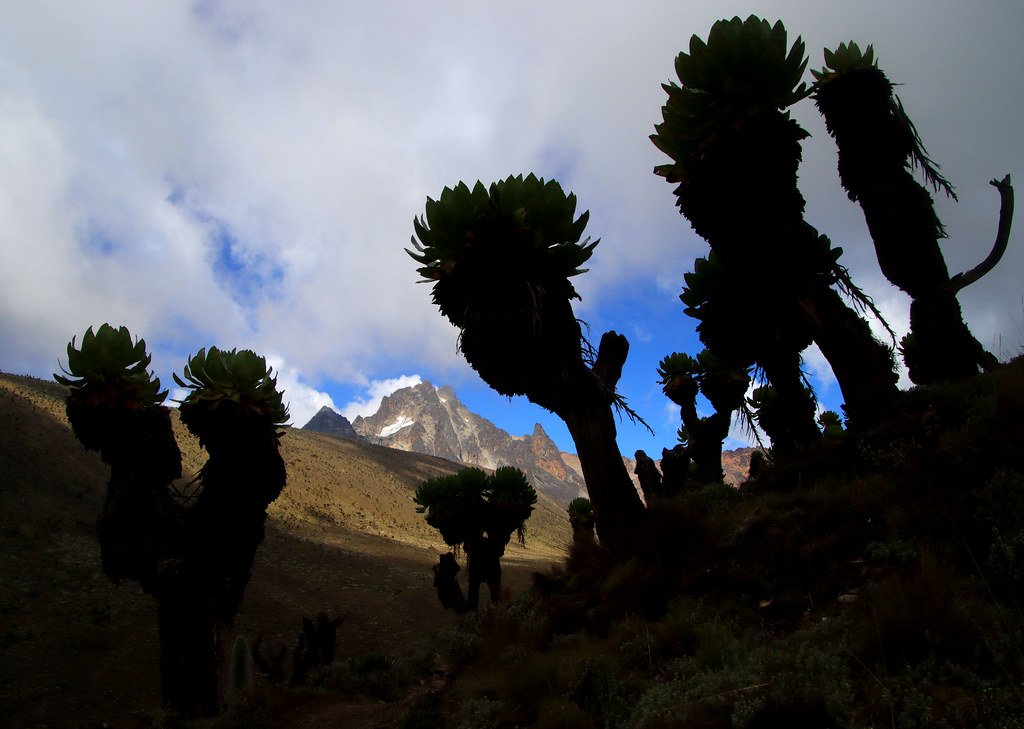 Global Scientific Curiosity: A Magnet for Researchers (image credits: flickr)