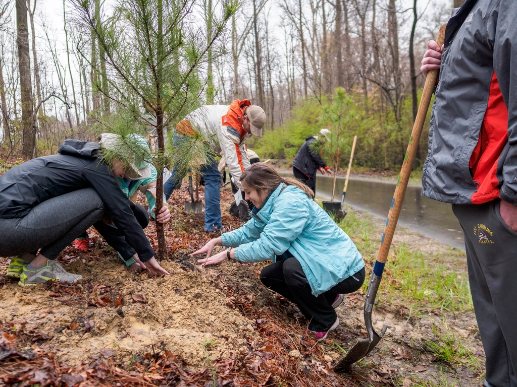 Community Power: Volunteers and Local Heroes (image credits: rawpixel)