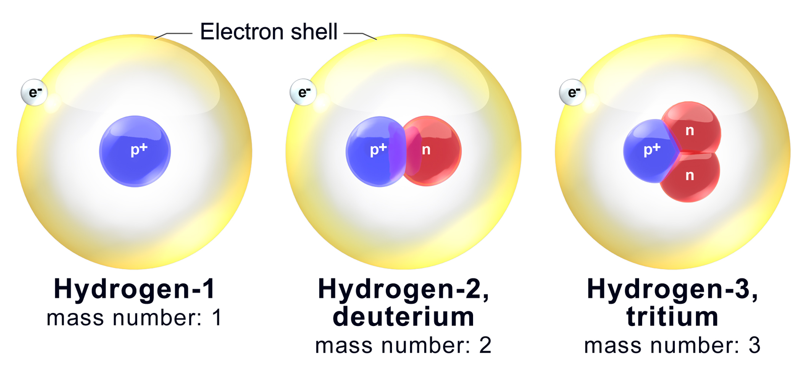 What Are Isotopes and Why Do They Matter? (image credits: wikimedia)