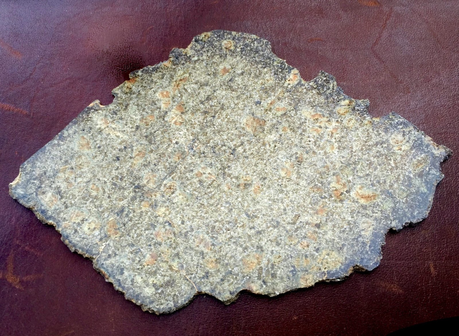 Earth's Unique Isotopic Fingerprint (image credits: wikimedia)