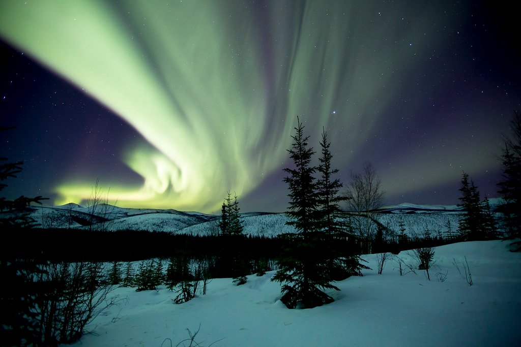 The Electromagnetic Connection: How Geomagnetic Activity Affects Wildlife (image credits: flickr)