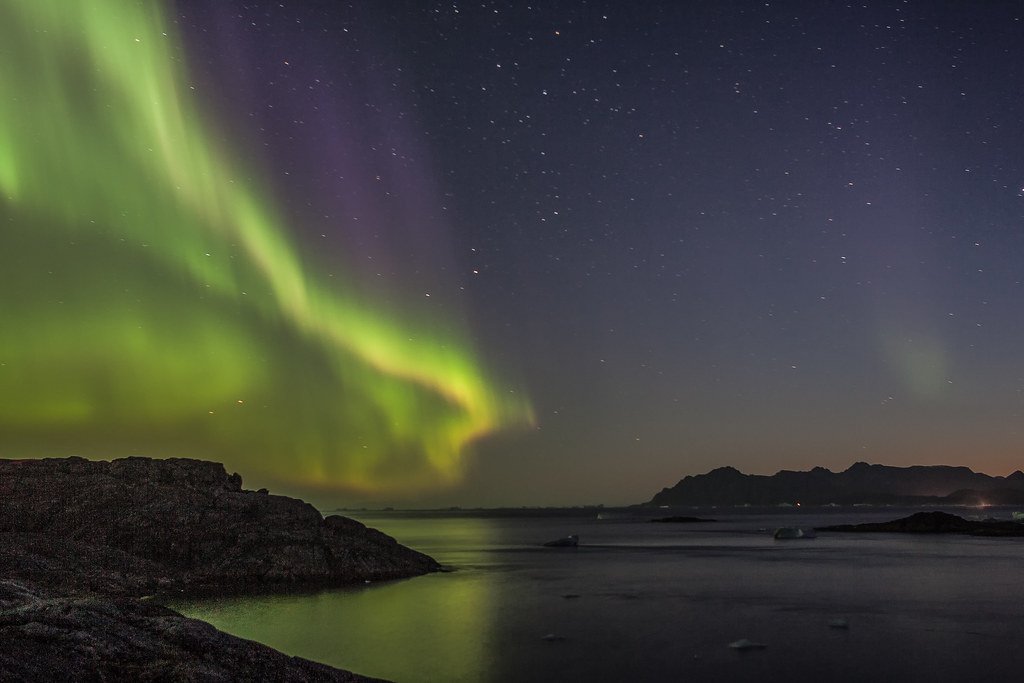 Black Bears and Big Skies: The Northern Lights Sanctuary in Yukon