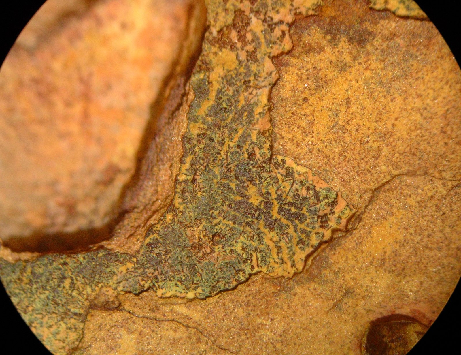 Implications for Astrobiology and Mars Research (image credits: wikimedia)