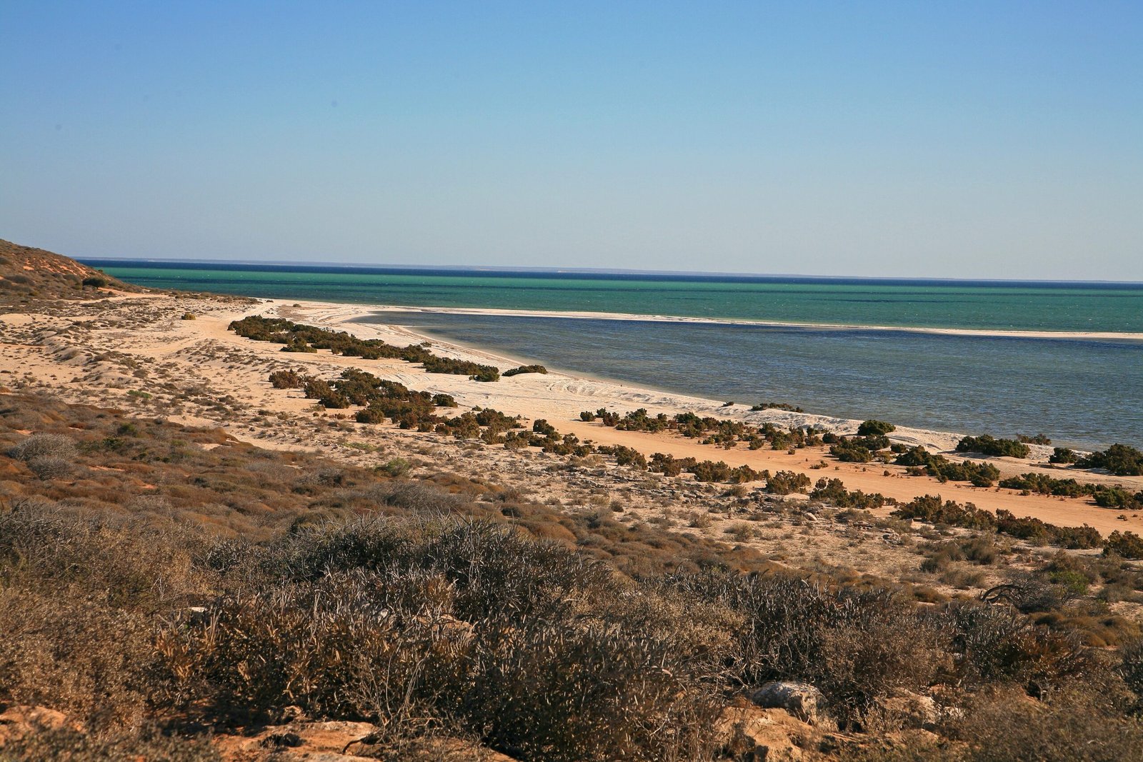 Microbial Fossils in Shark Bay: Where Life on Earth May Have Started