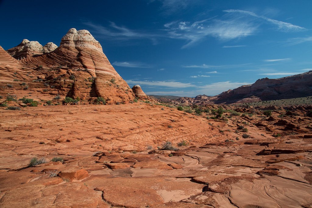 Building Soils from Scratch (image credits: flickr)