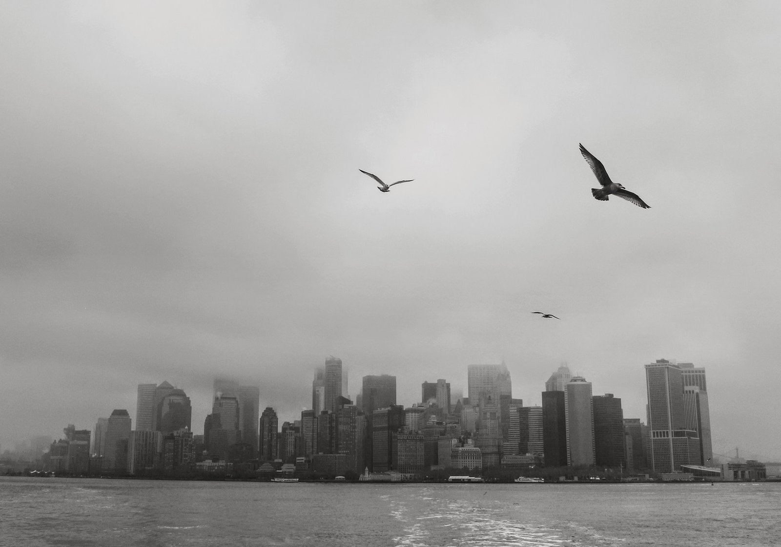 The Mystery of the After-Rain Scent (image credits: wikimedia)