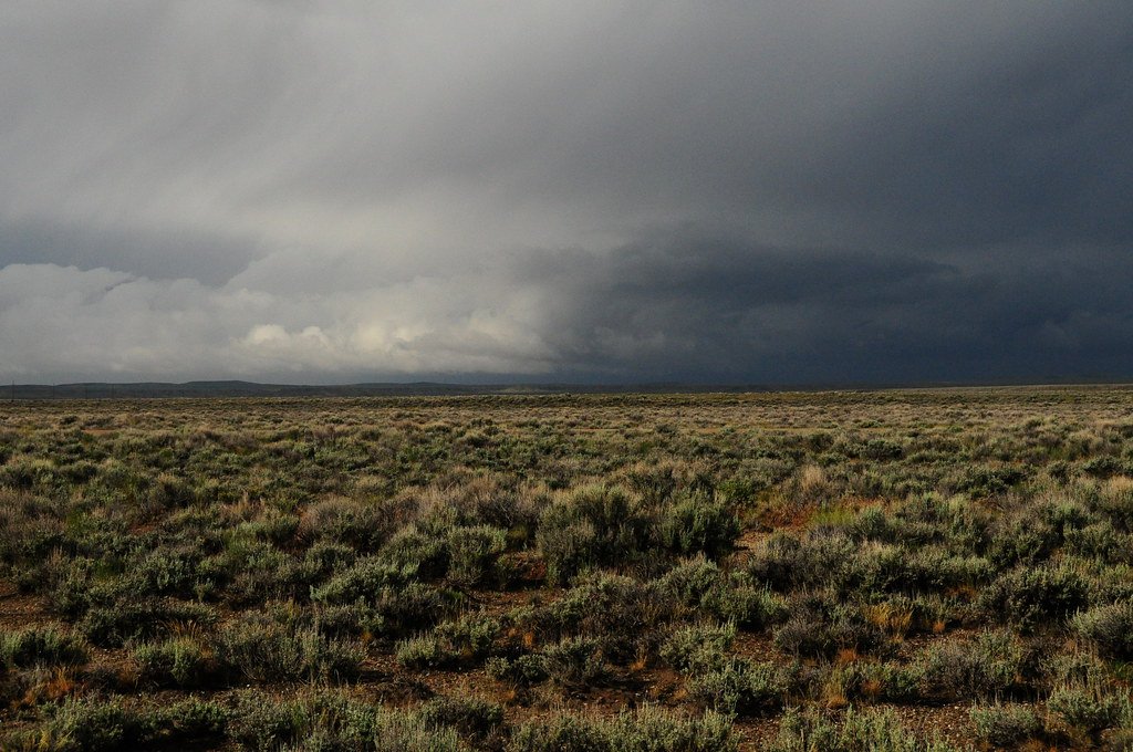 Geosmin: Nature’s Signature Scent (image credits: flickr)