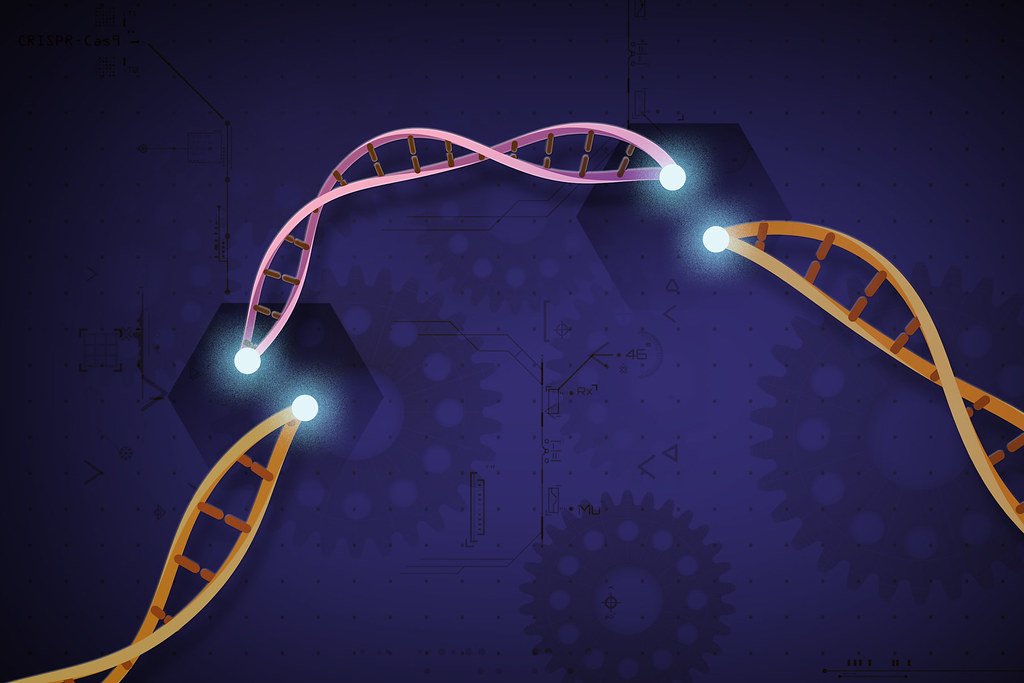 The Human Genome Project’s California Backbone (image credits: flickr)