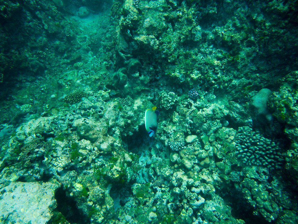 A Personal Reflection: Why This Matters (image credits: flickr)