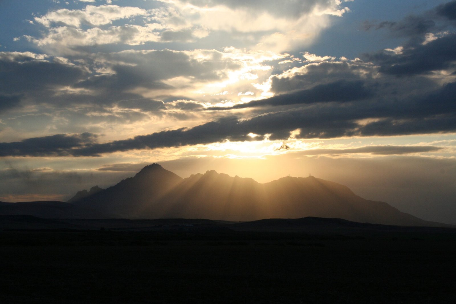 The Shocking Discovery That Changed Everything (image credits: wikimedia)