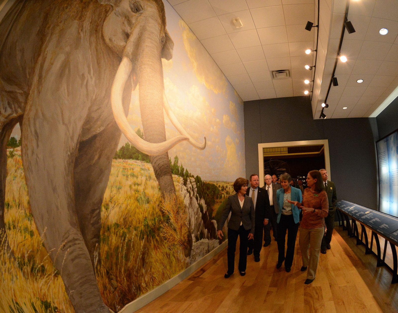 The Mammoth Discovery That Stopped Construction (image credits: wikimedia)