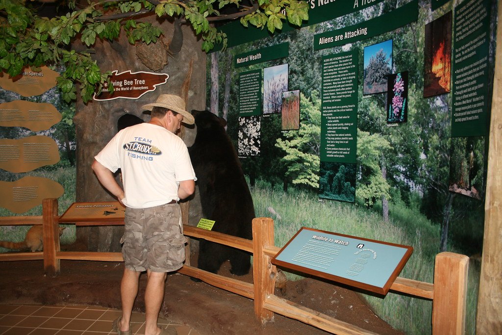 The Sanctuary's Role in Conservation Education (image credits: flickr)