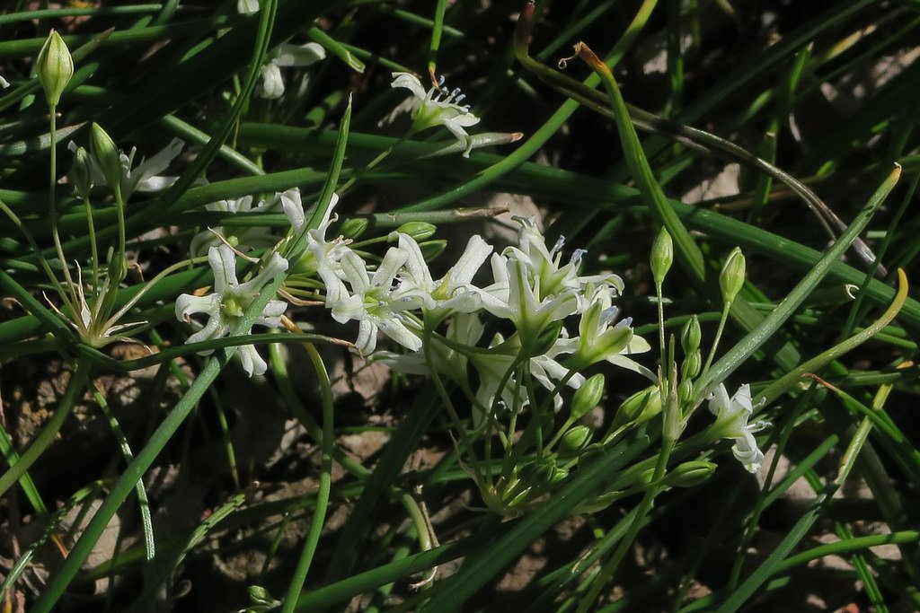 Future Research and Scientific Discoveries (image credits: flickr)