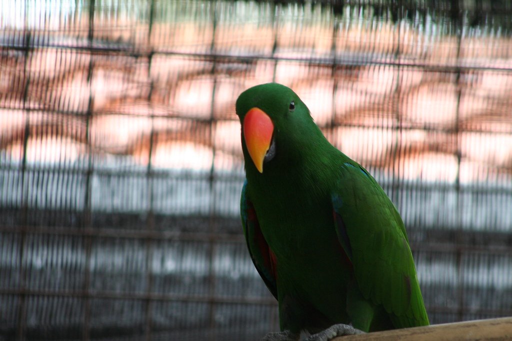 Promoting Responsible Visitor Interaction (image credits: flickr)