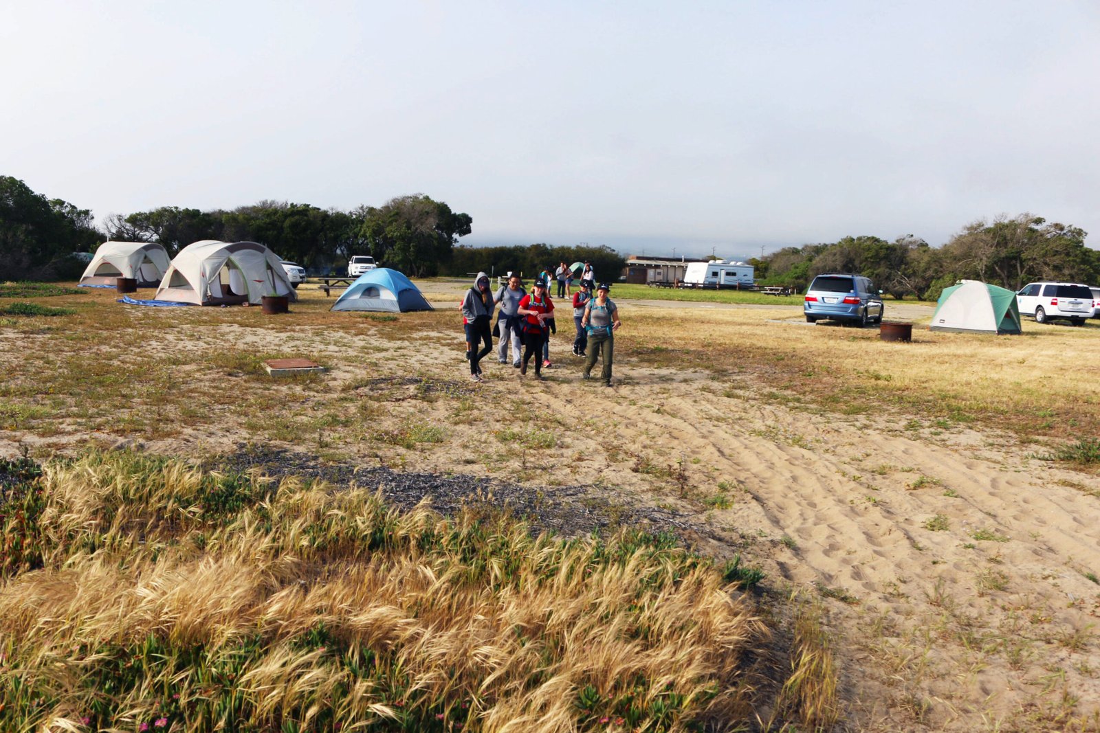 Collaboration with Researchers and Scientists (image credits: wikimedia)