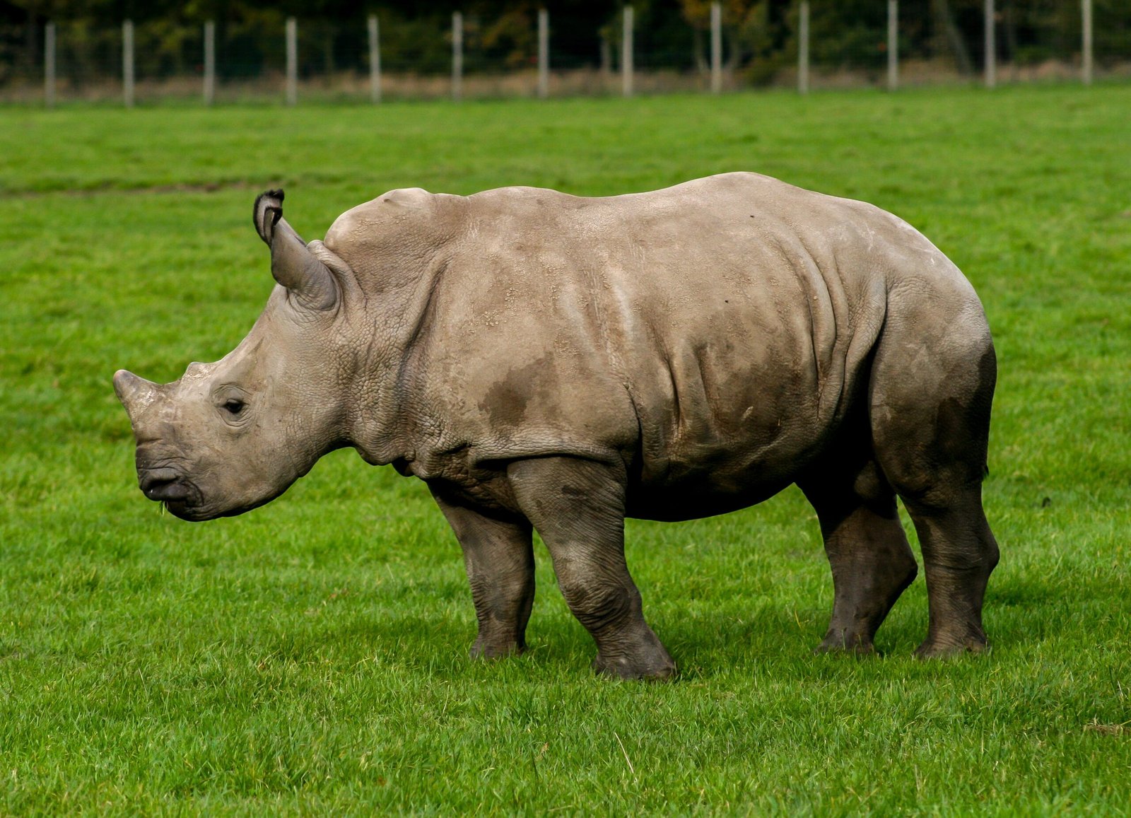 Minimizing the Footprint of Tourism (image credits: wikimedia)