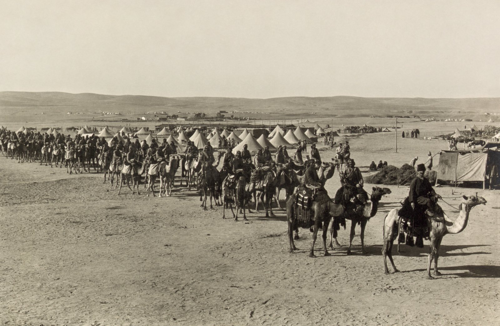 Military Might: Camels in War and Conquest (image credits: wikimedia)