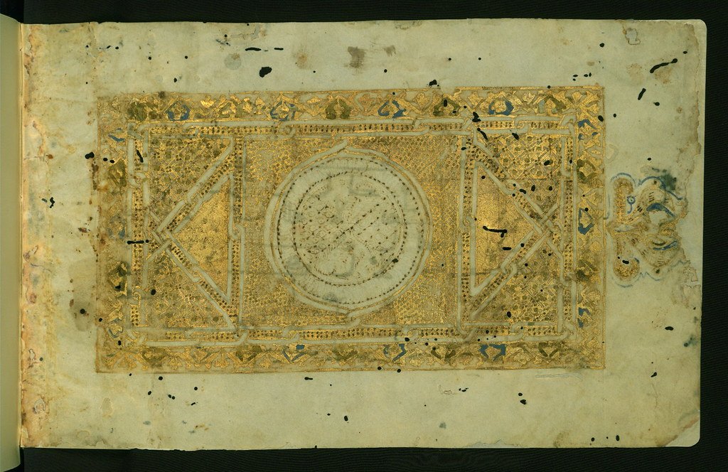 What Survives and Why (image credits: flickr)