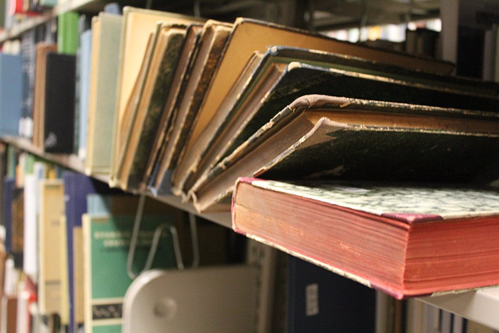 What Happens When Knowledge Is Too Fragile to Survive Collapse?