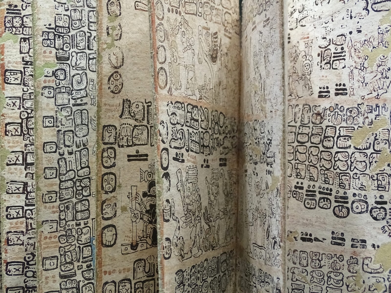 The Maya Codices Catastrophe (image credits: wikimedia)