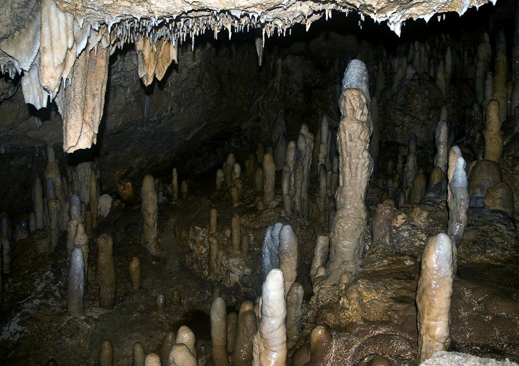 A Living Cave: What Makes Karchner Caverns Unique (image credits: flickr)