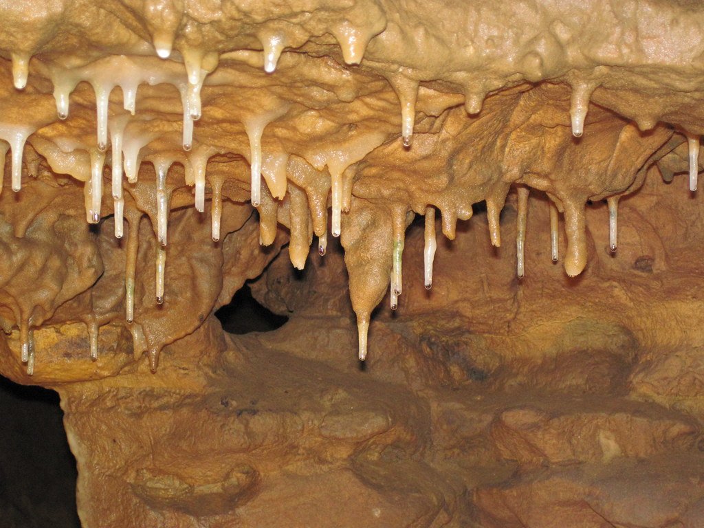 The World’s Longest Soda Straw Stalactites (image credits: flickr)