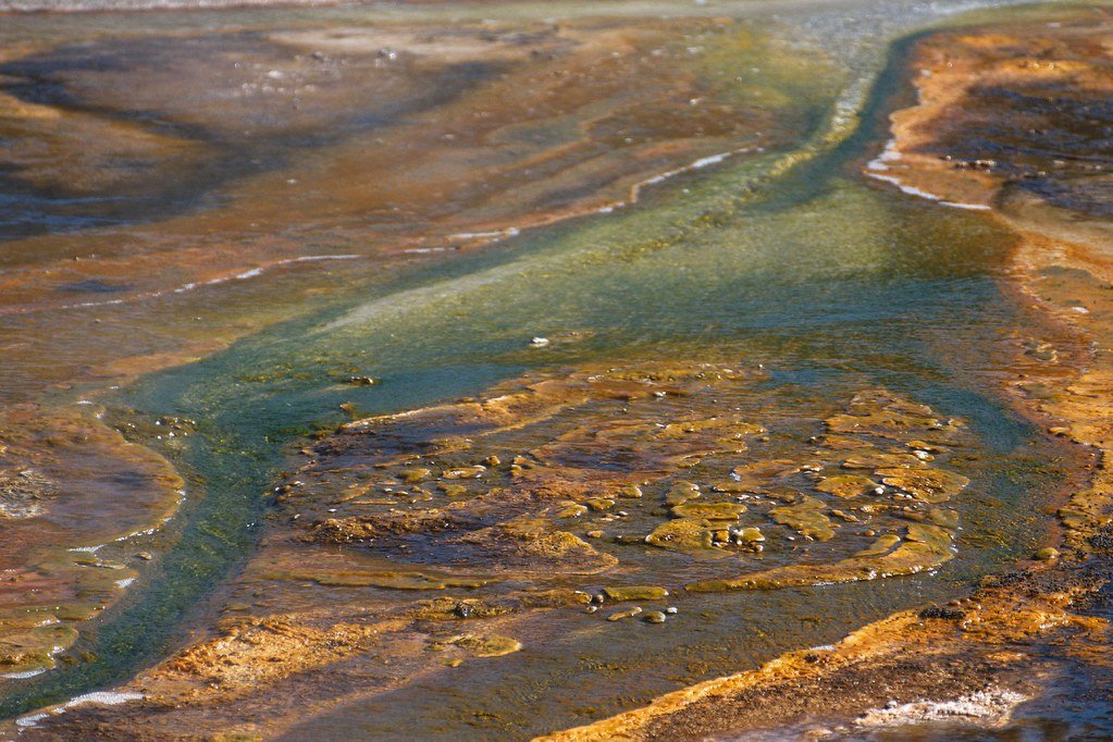 Drought Masters of the Extreme (image credits: flickr)