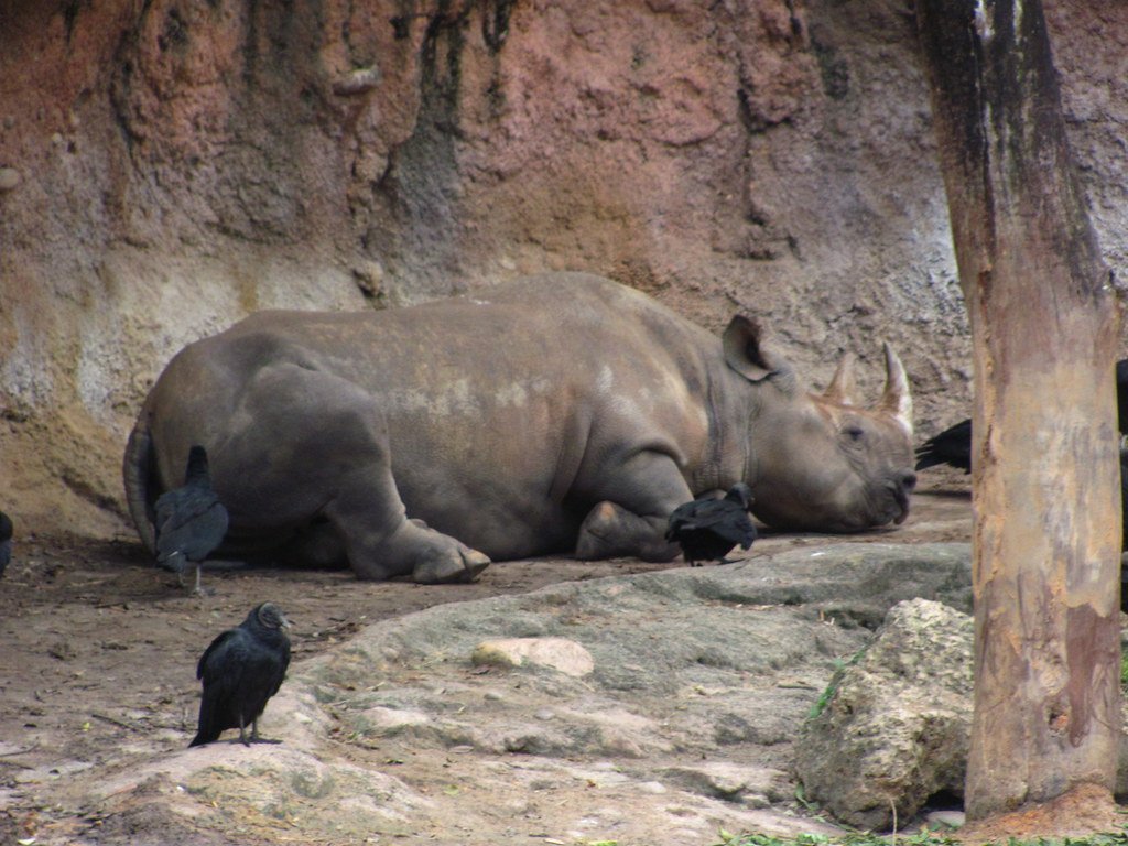 Evidence of Evolution in Isolation (image credits: flickr)