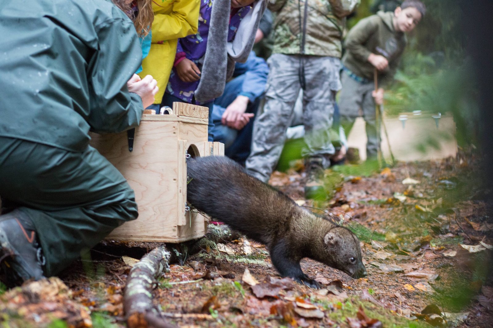 Lessons from the Field: Real-World Examples (image credits: wikimedia)