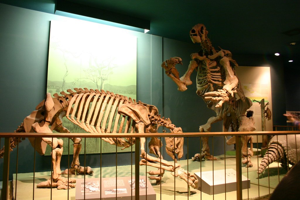 Giant Ground Sloths: The Slow-Motion Titans (image credits: flickr)