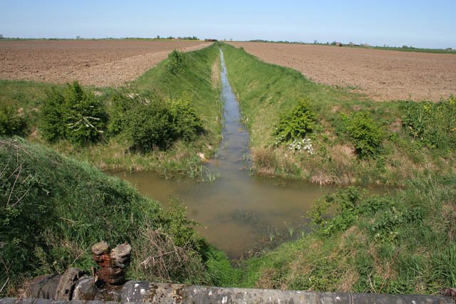 Economic Drivers of Destruction (image credits: wikimedia)