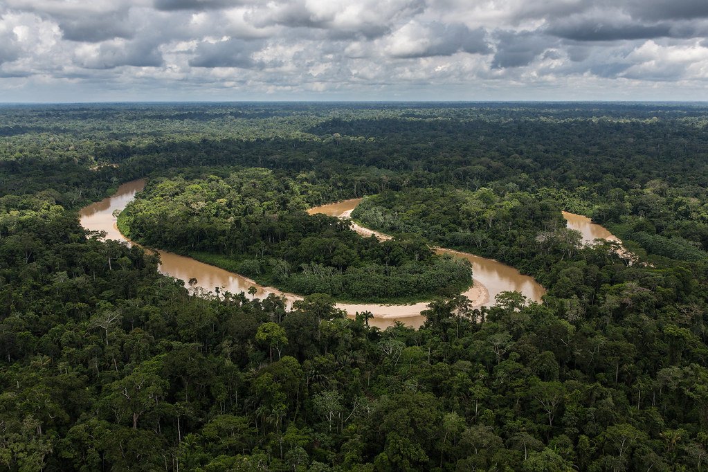 Technology Solutions: Can We Help the Amazon Store More Carbon?
