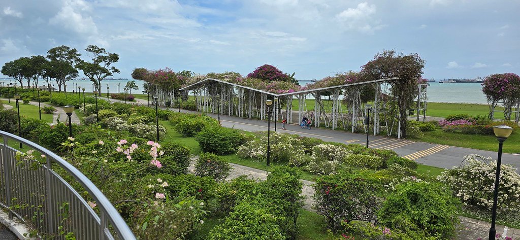 East Coast Park's Coastal Bacterial Ballet (image credits: flickr)