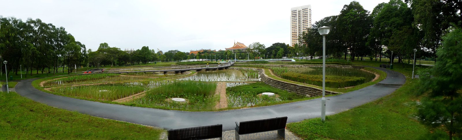 Bishan-Ang Mo Kio Park's Engineered Ecosystem (image credits: wikimedia)