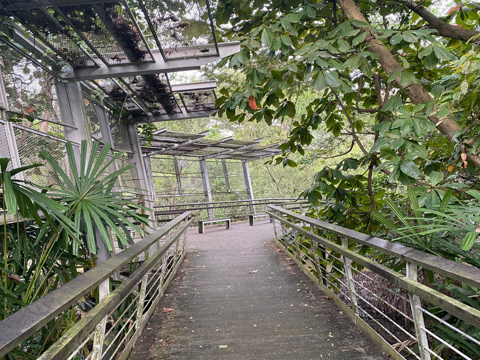 Labrador Nature Reserve's Coastal Defense Bacteria (image credits: wikimedia)