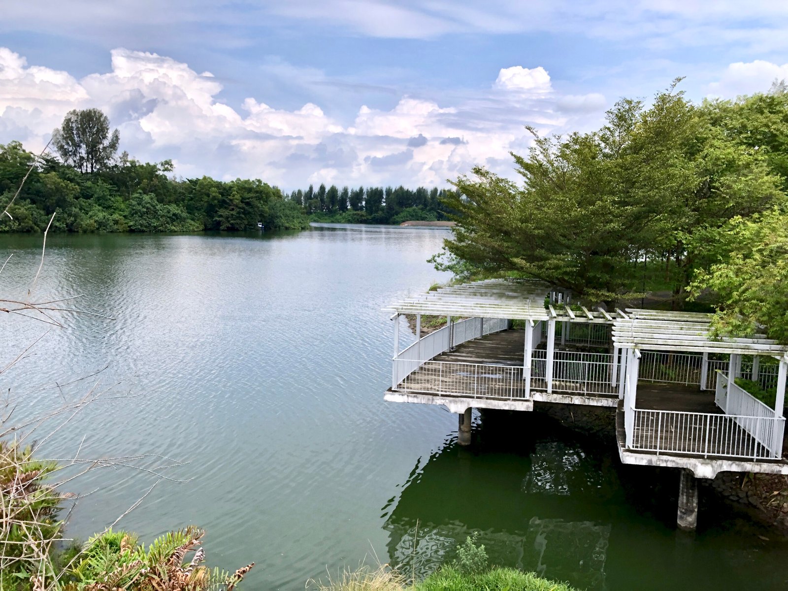 Singapore River Park Connectors: Bacterial Urban Corridors (image credits: wikimedia)