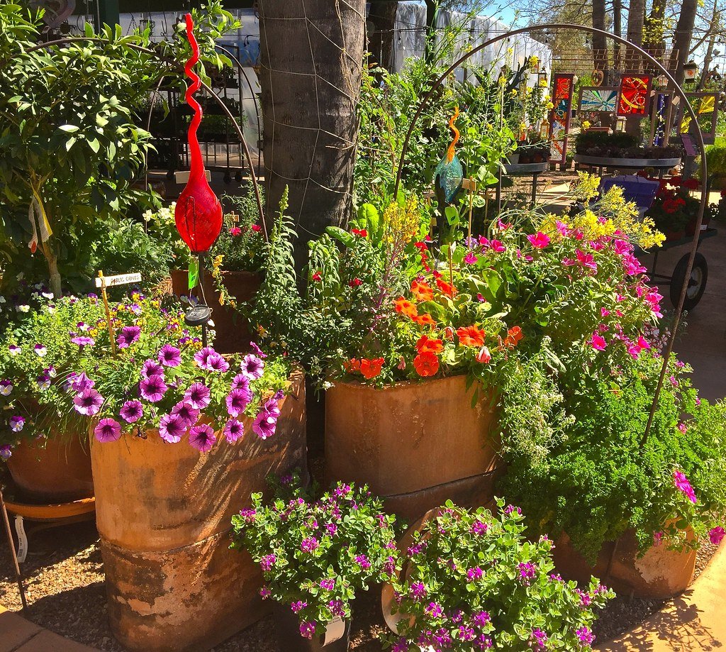 Establishing Your Native Alternative Garden (image credits: flickr)