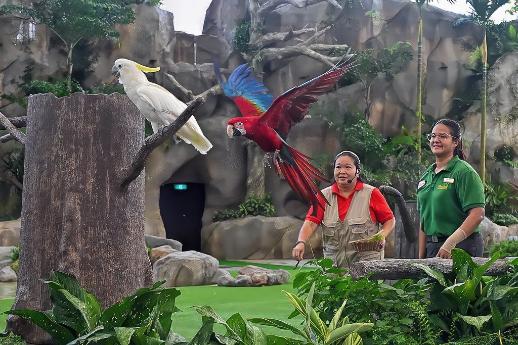 The Vision That Started It All (image credits: flickr)