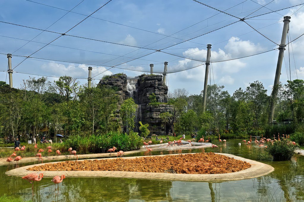 Challenges Nobody Expected (image credits: flickr)