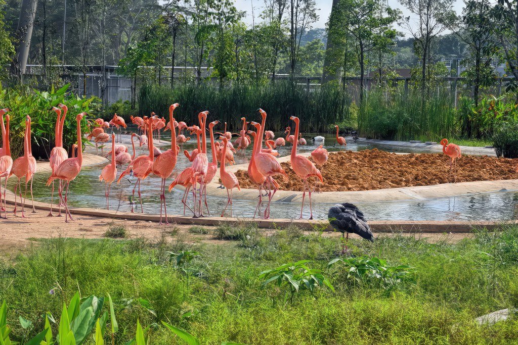 Looking Forward to Tomorrow's Challenges