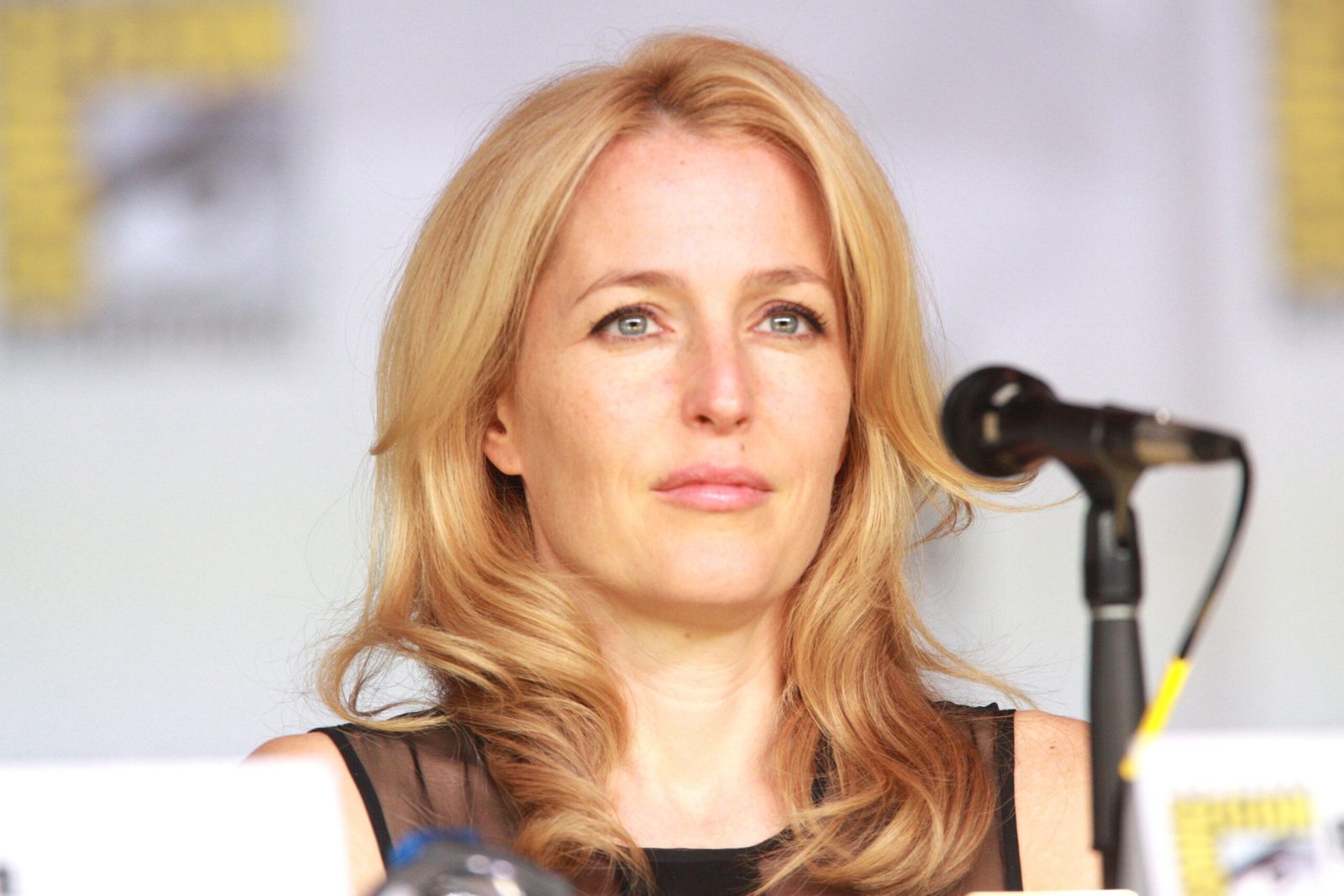 Dana Scully: The Medical Doctor Who Wanted to Believe (image credits: wikimedia)