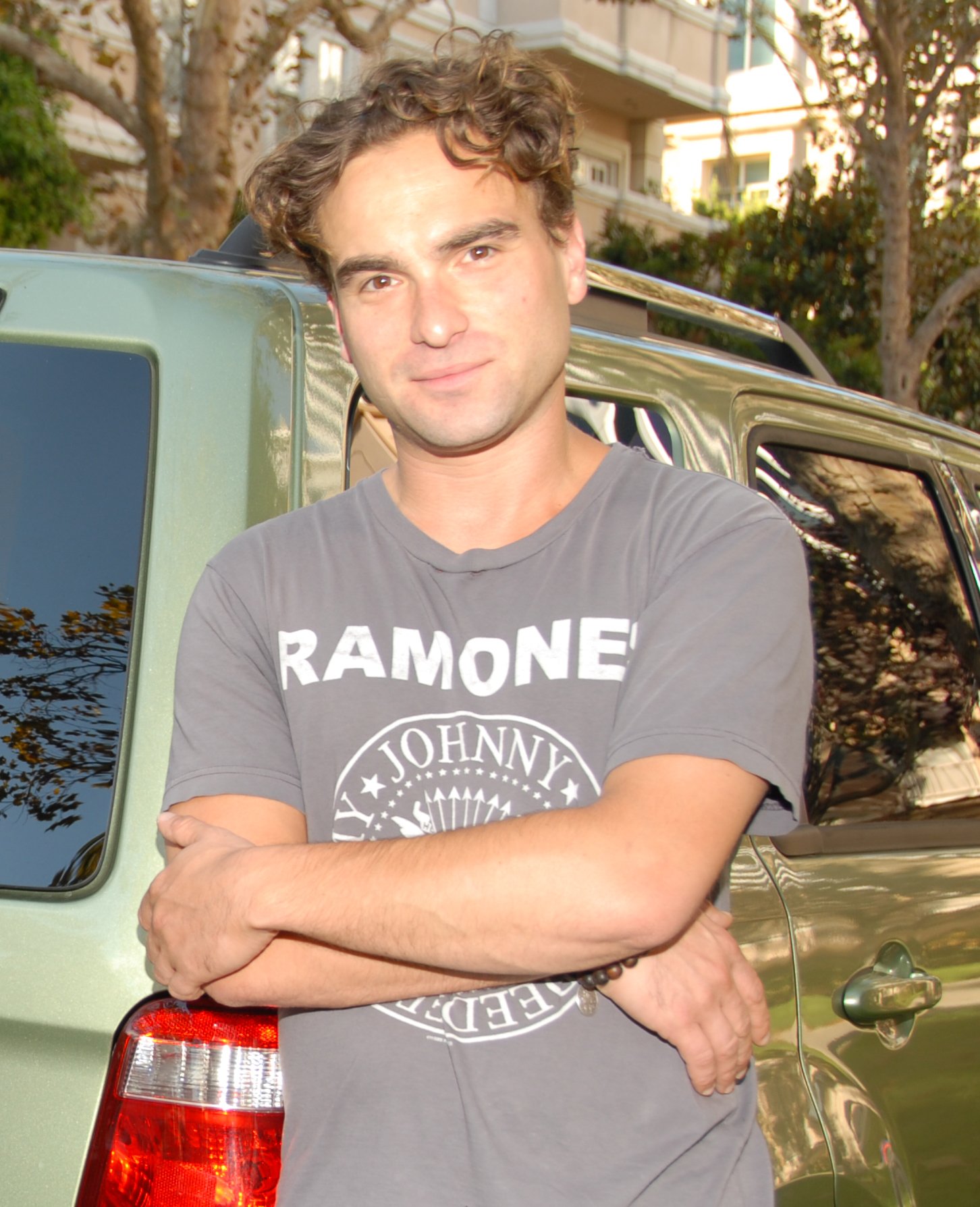 Leonard Hofstadter: The Experimental Physicist Next Door (image credits: wikimedia)