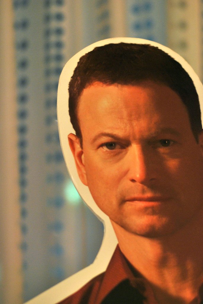 Mac Taylor: The Marine Turned Forensic Scientist (image credits: flickr)