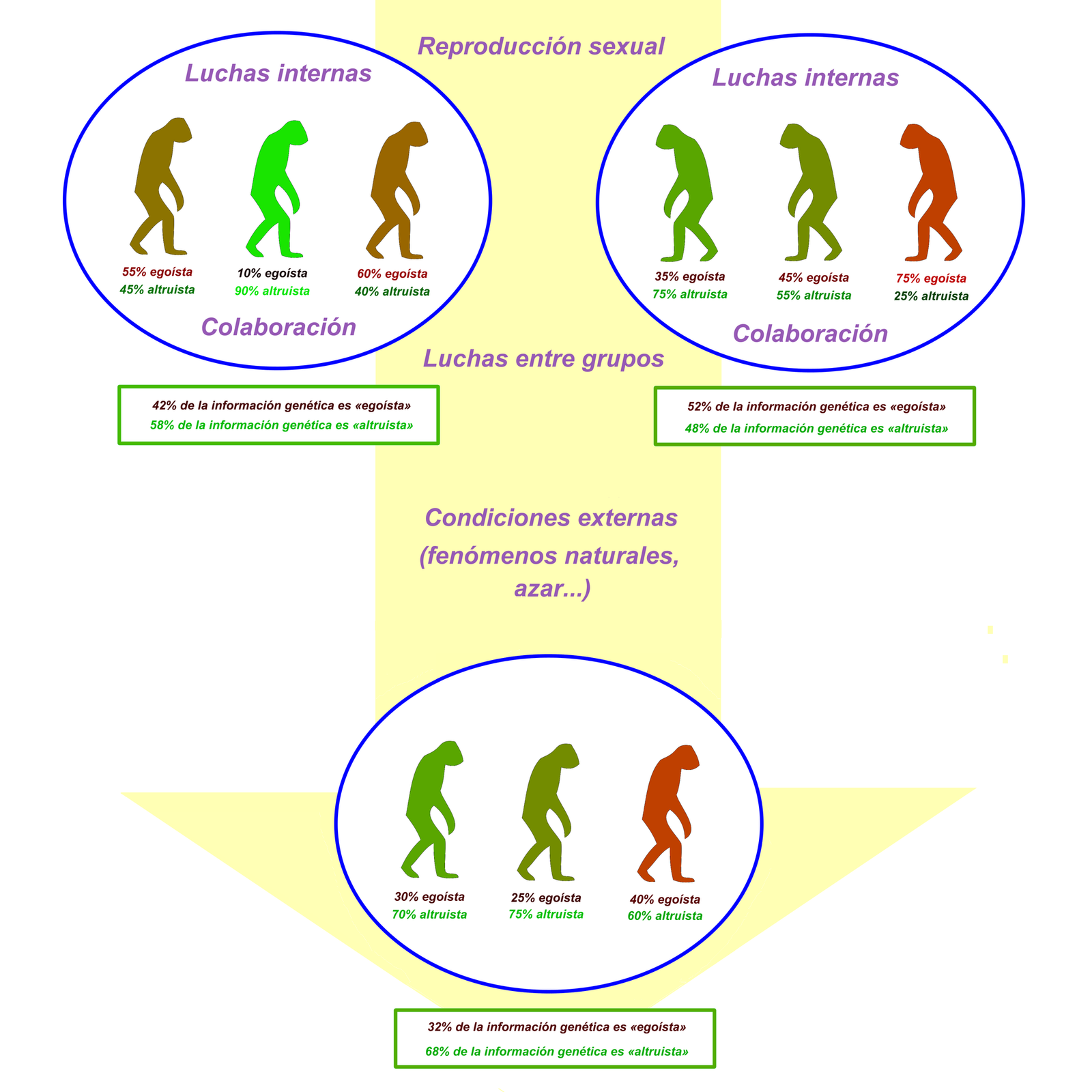 Recent Discoveries: New Cousins Still Being Found (image credits: wikimedia)