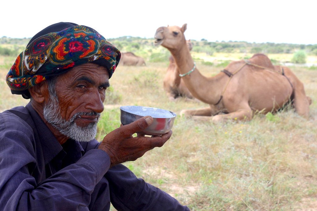 The Vitamin C Phenomenon That Defies Logic (image credits: flickr)