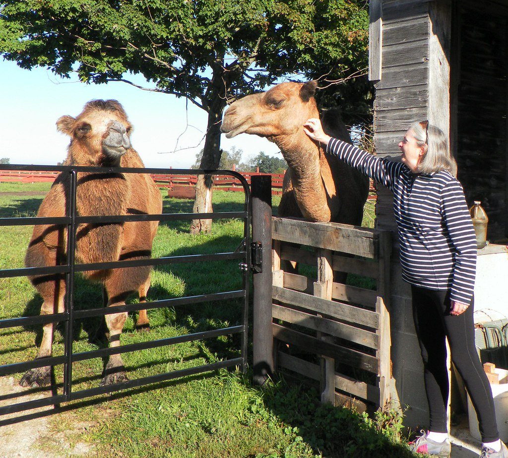 Fat Structure That Revolutionizes Nutrition